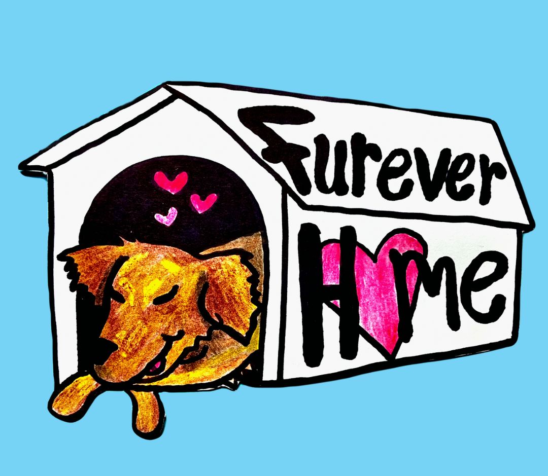 Furever home clearance dog rescue